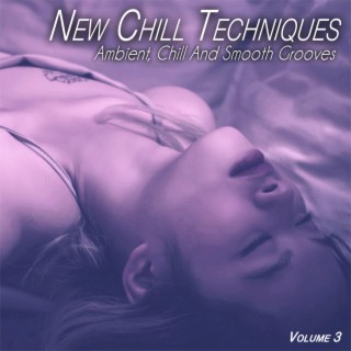 New Chill Techniques, Vol. 3 - Ambient, Chill and Smooth Grooves