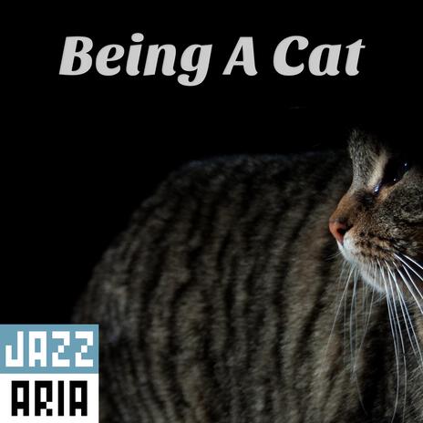 Being a Cat | Boomplay Music