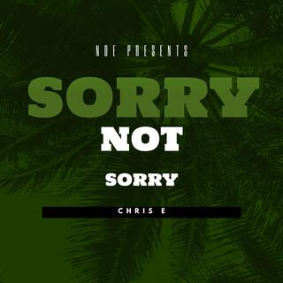 Sorry Not Sorry ft. Tybaby & TaeoTheArtist lyrics | Boomplay Music