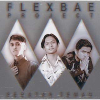 Flexbae Project