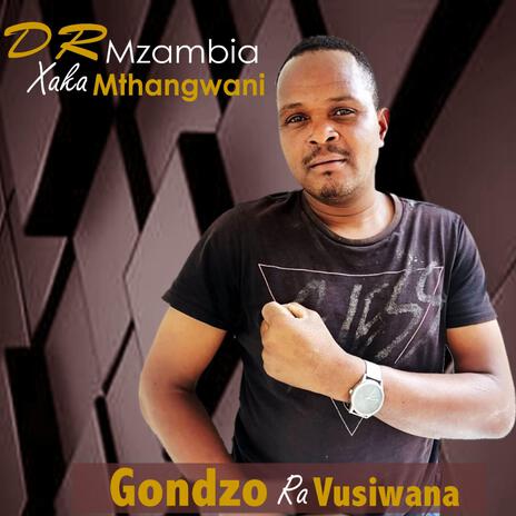 GONDZO RA VU SIWANA | Boomplay Music