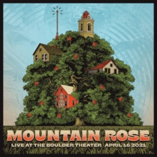 Mountain Rose