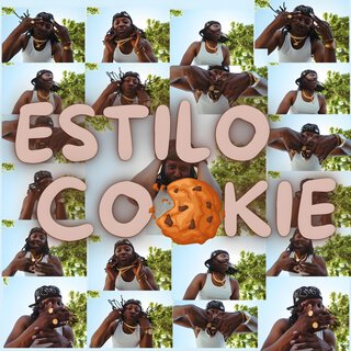 Estilo Cookie