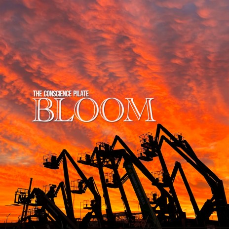 Bloom | Boomplay Music