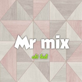 Mr mix