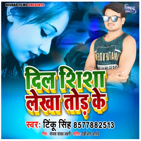 Dil Shisa Lekha Tod Ke | Boomplay Music