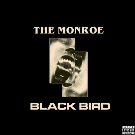 Black Bird | Boomplay Music