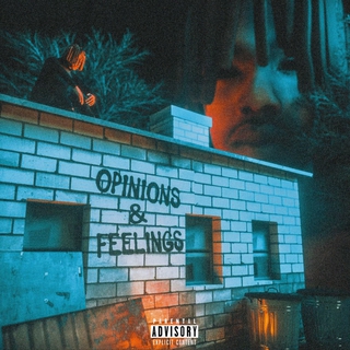 Opinions & Feelings