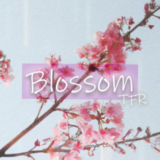 Blossom lyrics | Boomplay Music