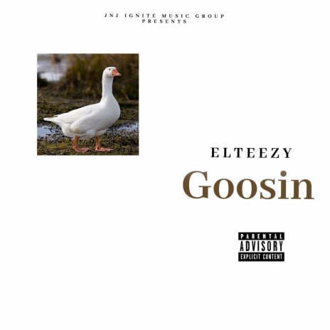 Goosin | Boomplay Music