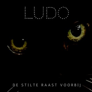 De stilte raast voorbij lyrics | Boomplay Music