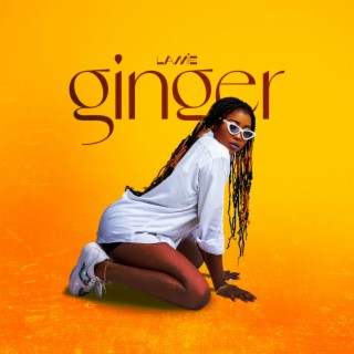 Ginger lyrics | Boomplay Music