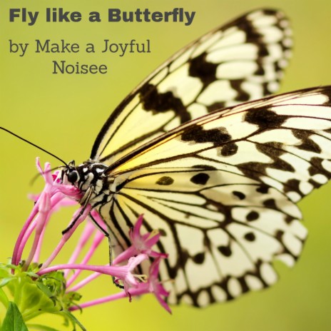 Fly like a Butterfly | Boomplay Music