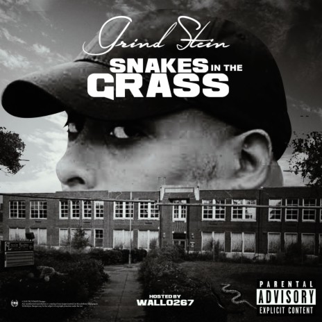 Snakes in the Grass (feat. Wallo267) | Boomplay Music