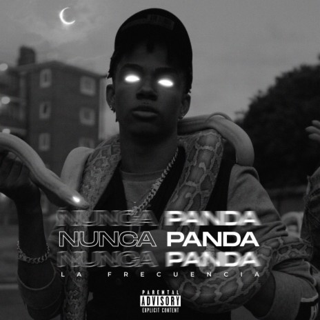 Nunca Panda | Boomplay Music