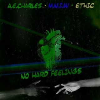 No Hard Feelings (The Remixes)