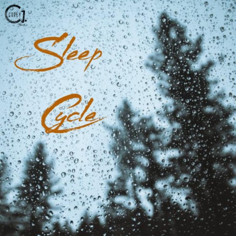 Sleep Cycle | Boomplay Music