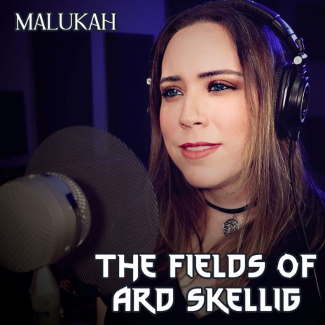 The Fields of Ard Skellig | Boomplay Music