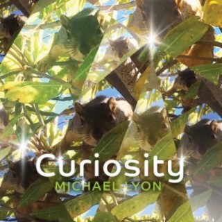 Curiosity