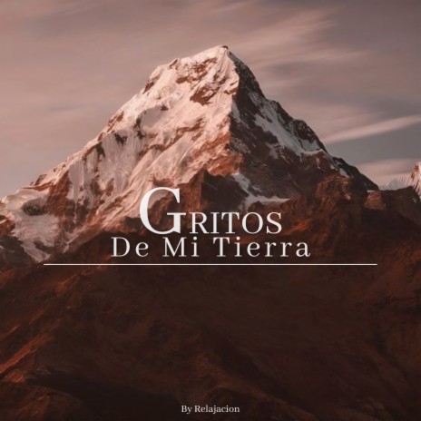 Gritos De Mi Tierra 8 ft. DJ Ritmo | Boomplay Music