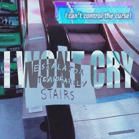 i wont cry | Boomplay Music