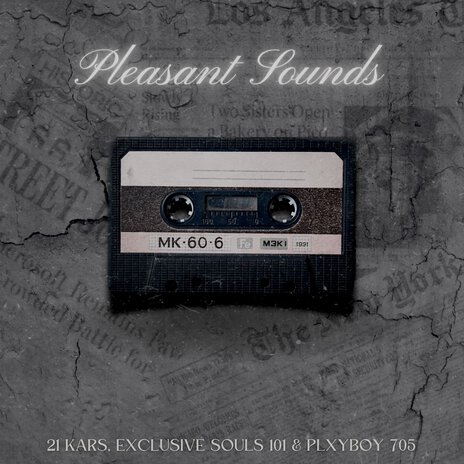 Pleasant Sounds ft. Exclusive Souls 101 & Plxyboy705