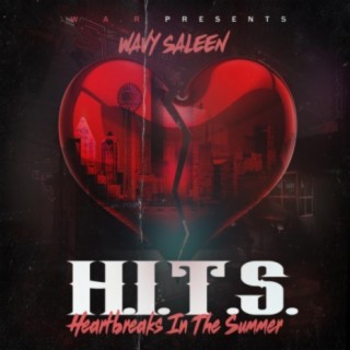 H.I.T.S. (Heartbreaks in the Summer)