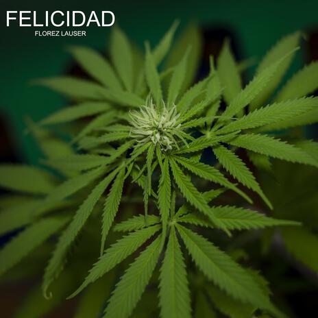 Felicidad