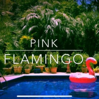 Pink Flamingo