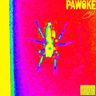 PAWOKE