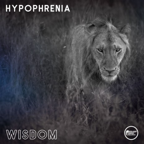 Wisdom | Boomplay Music