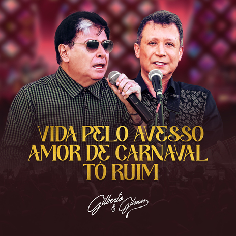 Vida pelo Avesso (Ao Vivo) | Boomplay Music