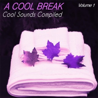 A Cool Break, Vol.1 - Cool Sounds Compiled