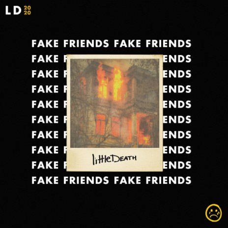 Fake Friends | Boomplay Music