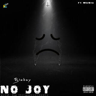 No Joy lyrics | Boomplay Music