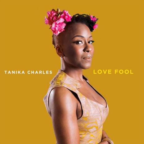 Love Fool | Boomplay Music