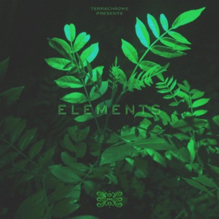 ELEMENTS