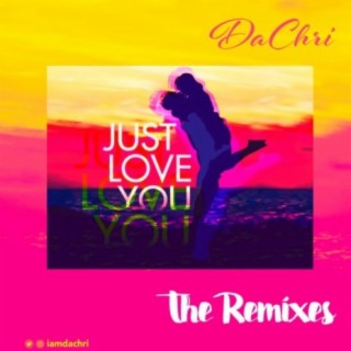 Just Love You the Remixes