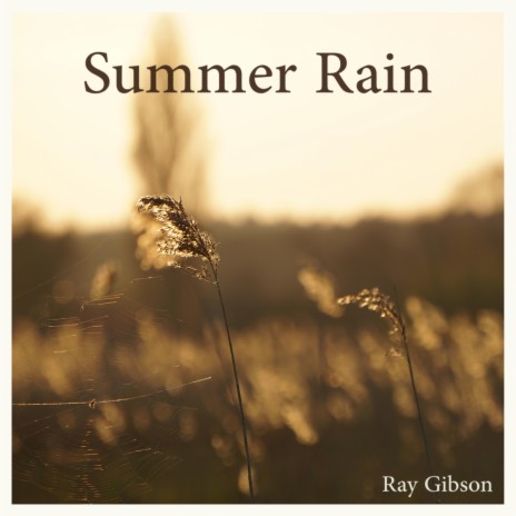 Summer Rain | Boomplay Music