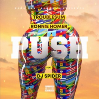 Push (feat. Ronnie Homer & DJ Spider)