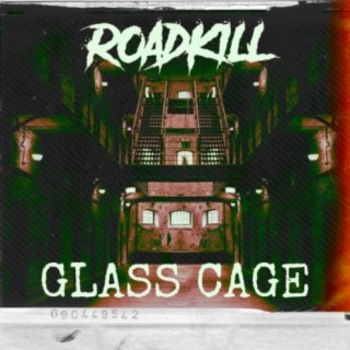 Glass Cage lyrics | Boomplay Music