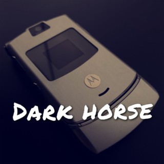 Dark Horse lyrics | Boomplay Music