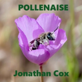 Pollenaise