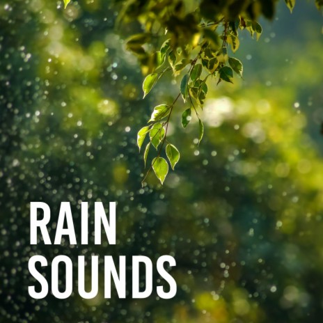 Rain Sound