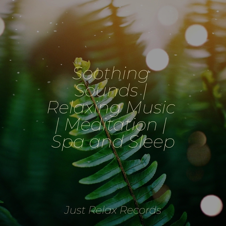 Echoes of Sorrowful Serenity ft. Spa & Sleepy Night Music | Boomplay Music