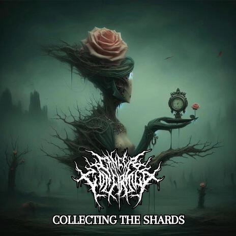 Collecting the Shards | Boomplay Music