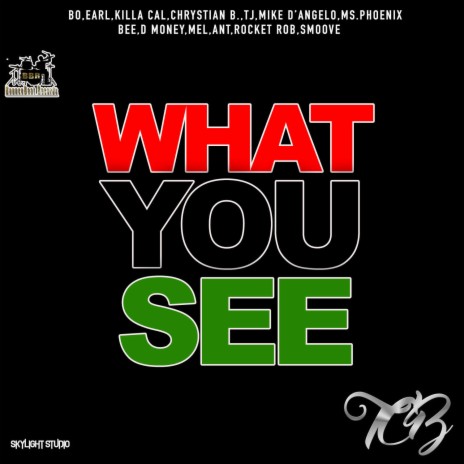 What You See (feat. Black Bo, Killa Cal, Chrystian B, Mike D'angelo, Alex Joines, Phoenix Smith & LL TJ) | Boomplay Music