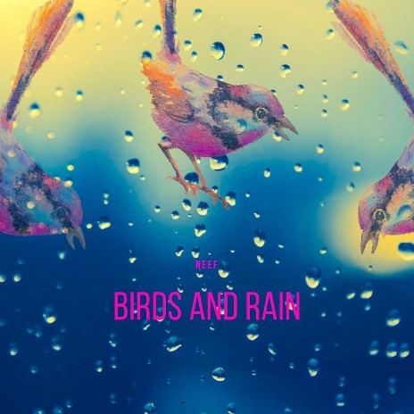 Birds and Rain | Boomplay Music
