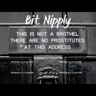 Bit Nipply