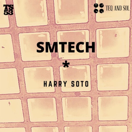 SMTECH (Original Mix)